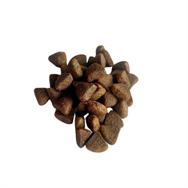 Ocean Pacific - 12 kg